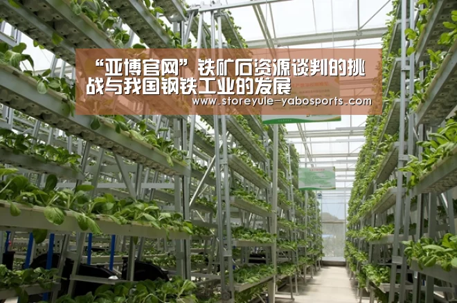 “亚博官网”铁矿石资源谈判的挑战与我国钢铁工业的发展